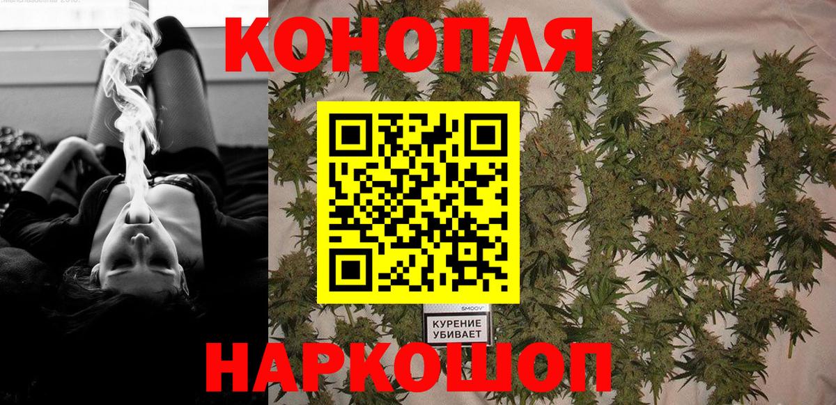 Конопля индика  Бошки Шишки ГИДРОПОН  Вход с VPN  Богородицк  Бошки Шишки VHQ 